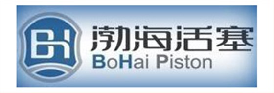 渤?；钊? />
</p>
<p style=